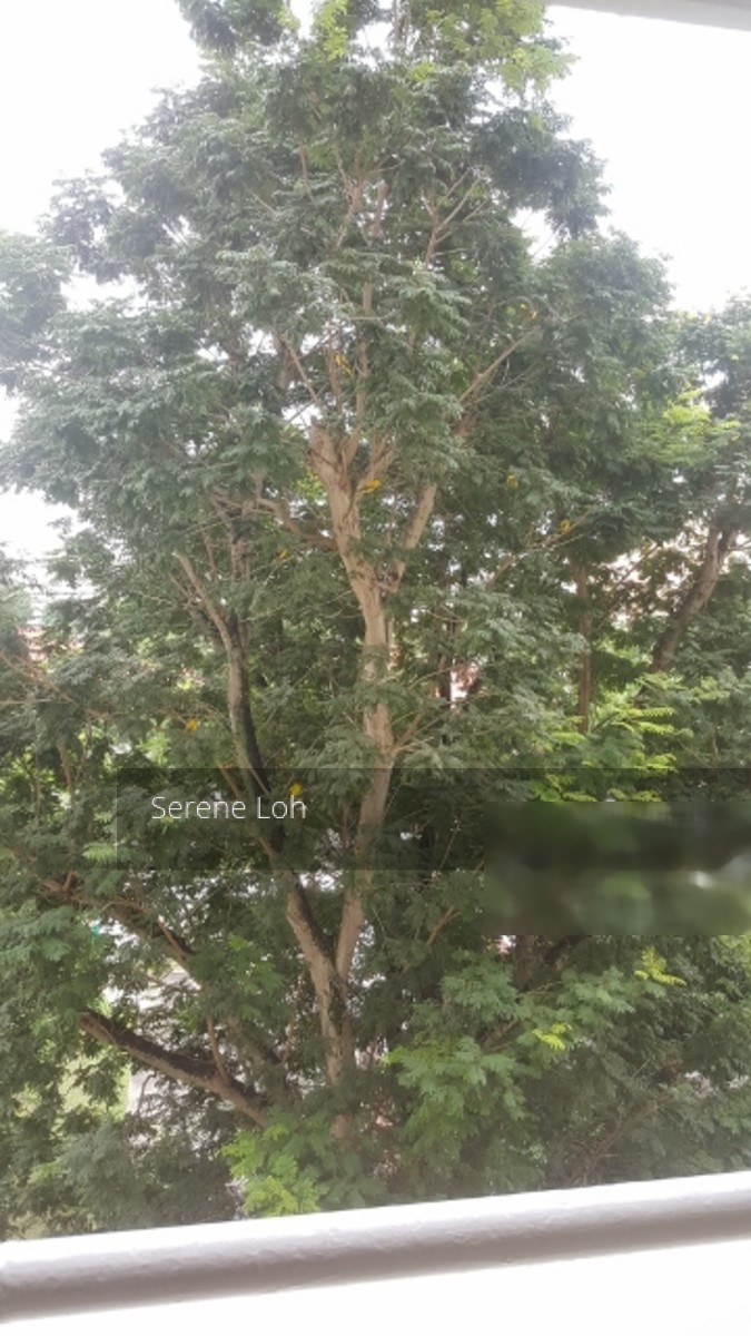 Blk 617 Bedok Reservoir Road (Bedok), HDB 2 Rooms #122125272